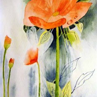 8